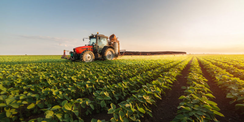 Agricultor en Tierra Caliente